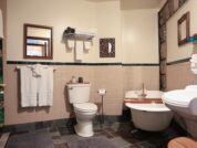 Themed hotel rooms, Ann Arbor Michigan, Stone Chalet Bed and Breakfast Inn and Event Center