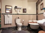 Themed hotel rooms, Ann Arbor Michigan, Stone Chalet Bed and Breakfast Inn and Event Center