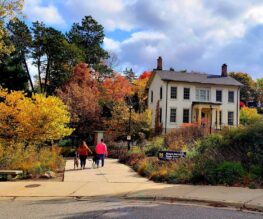 Things to do In Ann Arbor, a definitive Ann Arbor Guide, Stone Chalet Bed and Breakfast Inn and Event Center