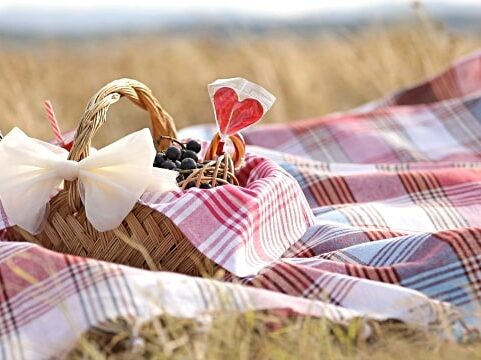 picnic basket